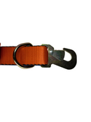 HD Eagle Strap-2
