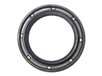 Ramsey Winch Oil Seal